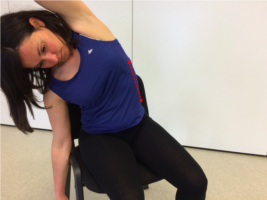 etirement muscles cotes.png